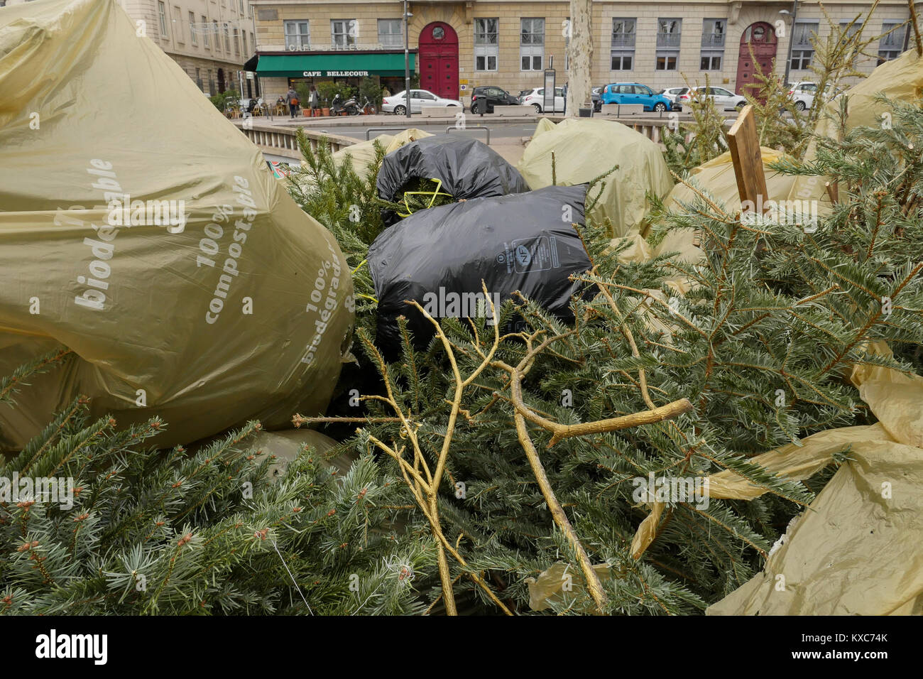 Christmas trees collected in order to be recycled, Lyon, France Stock