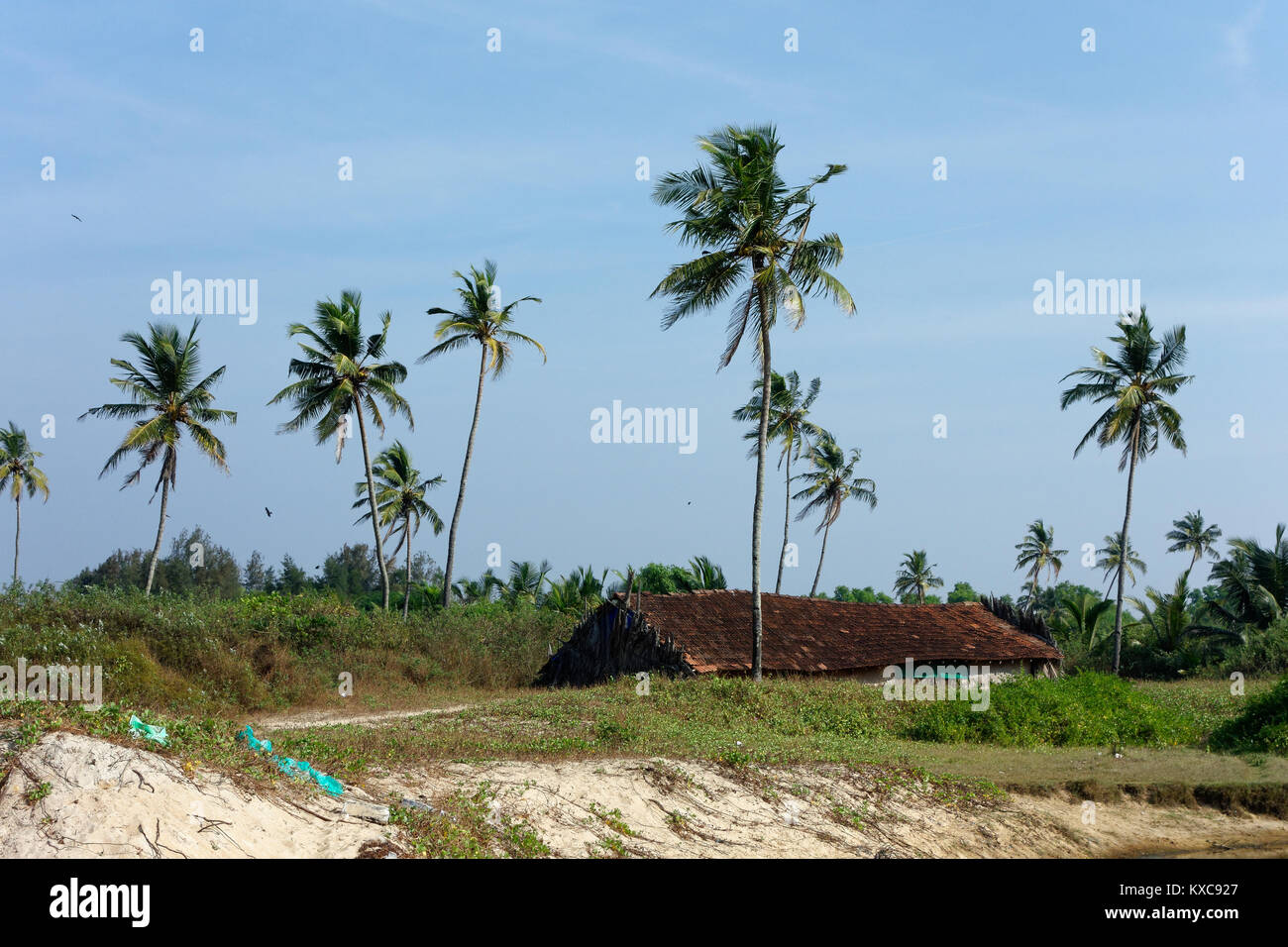 Benaulim Beach, South Goa, India Stock Photo - Alamy