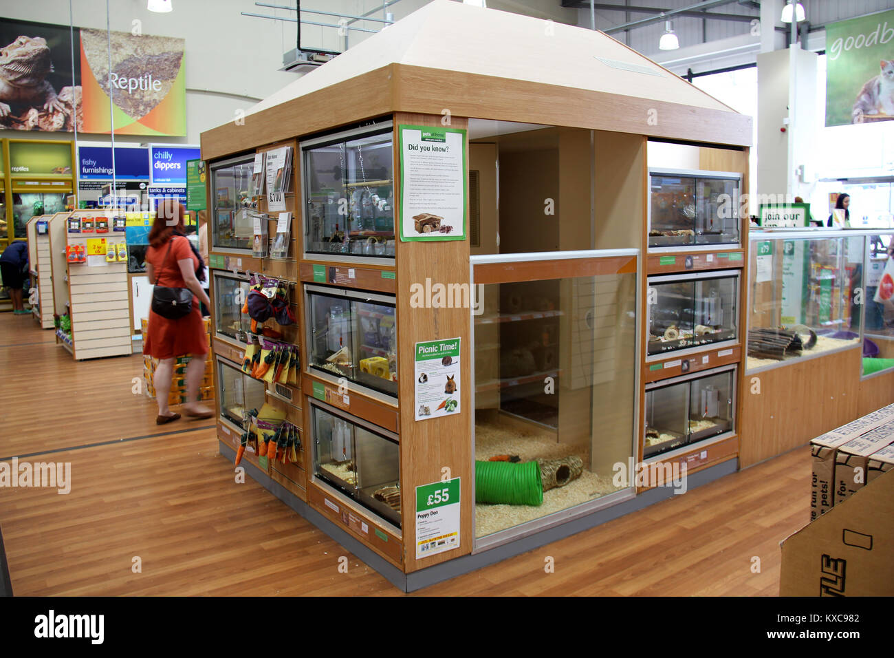 England, Kent, Orpington – Circa July 2014: huge pet inclosure in a pet supermarket in England. Stock Photo