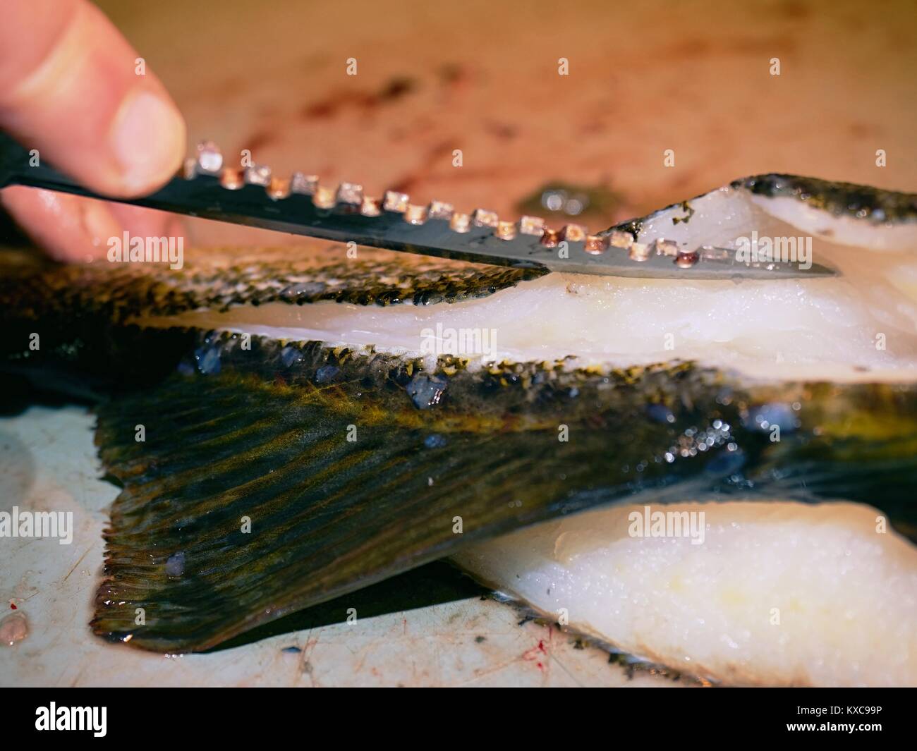Worker cleaning and filleting fresh sea cod fish in a family factory