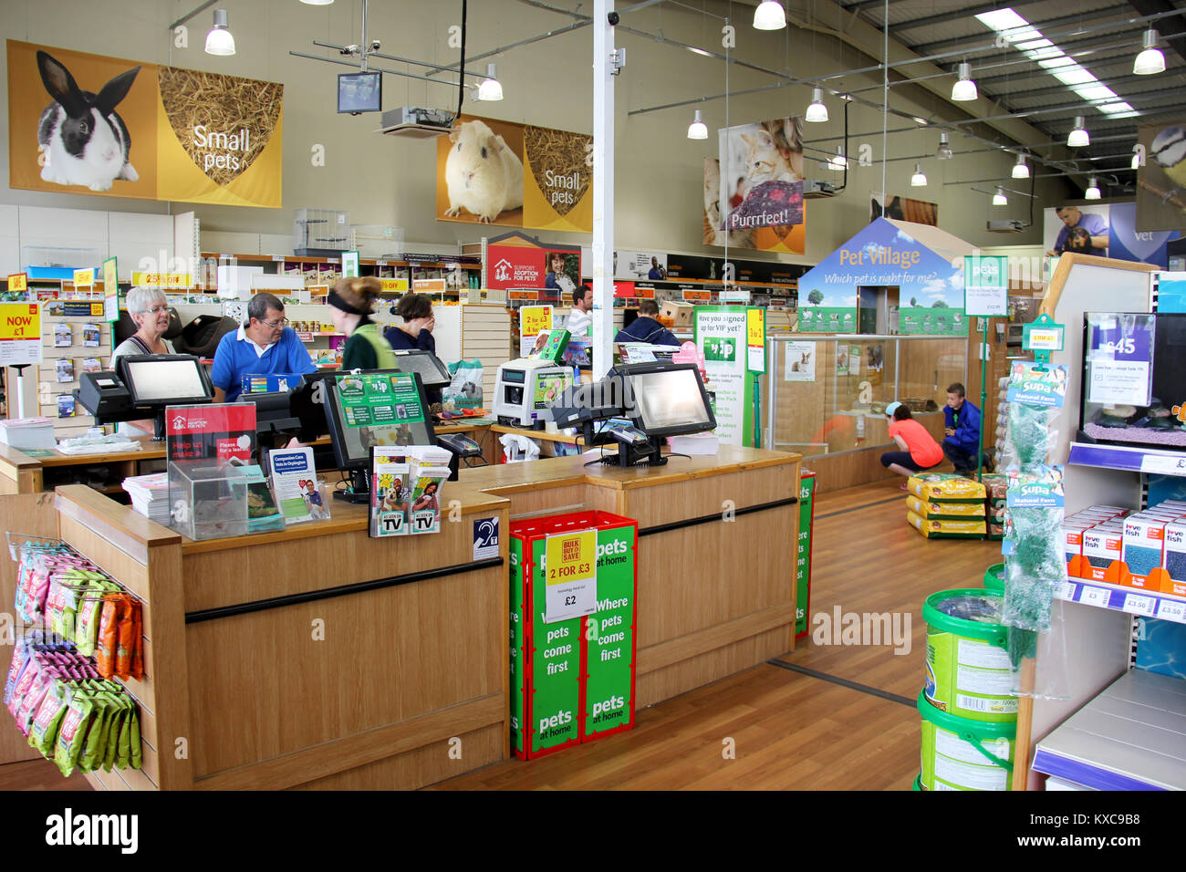 England, Kent, Orpington Circa July 2014 Huge selection of pet