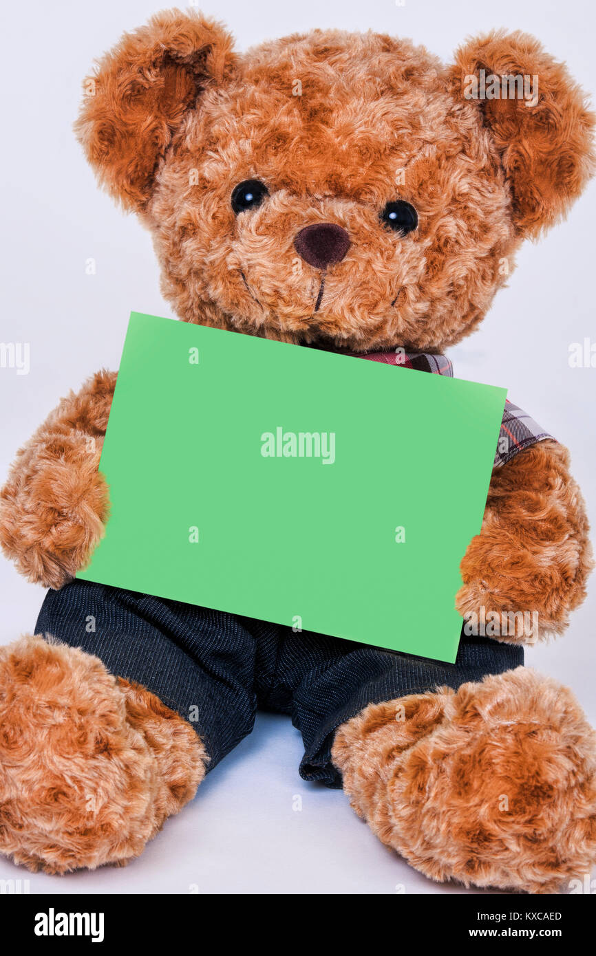 cute green teddy bear