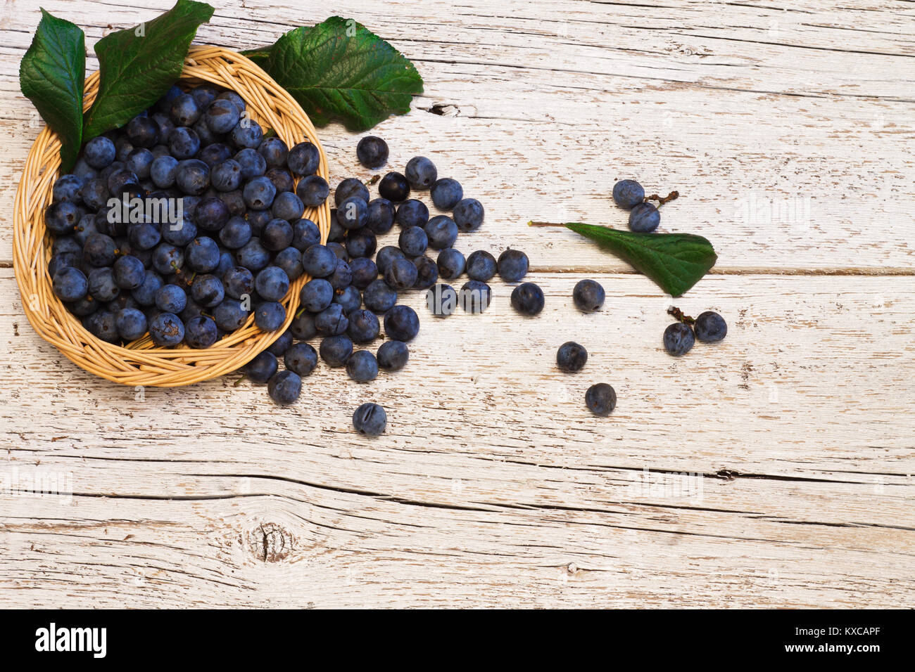 blue berries blackthorn and leaves in a wicker basket on a white wooden background Stock Photo
