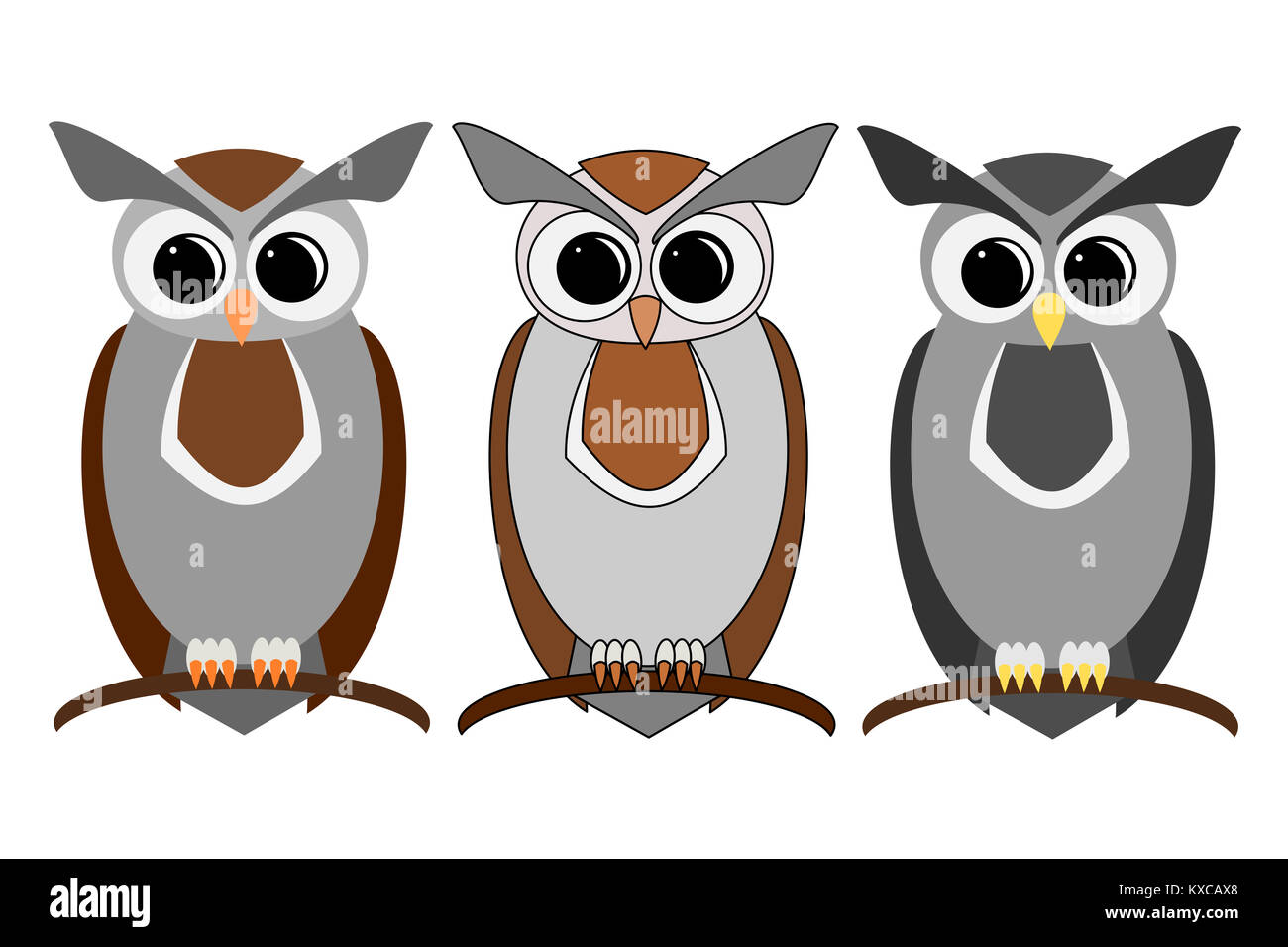 Three designs of wise owl cartoon style on white background Stock Photo -  Alamy