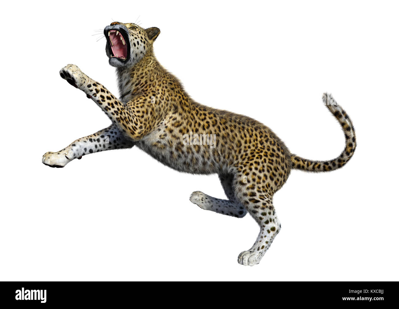 3D rendering of a big cat leopard isolated on white background Stock ...