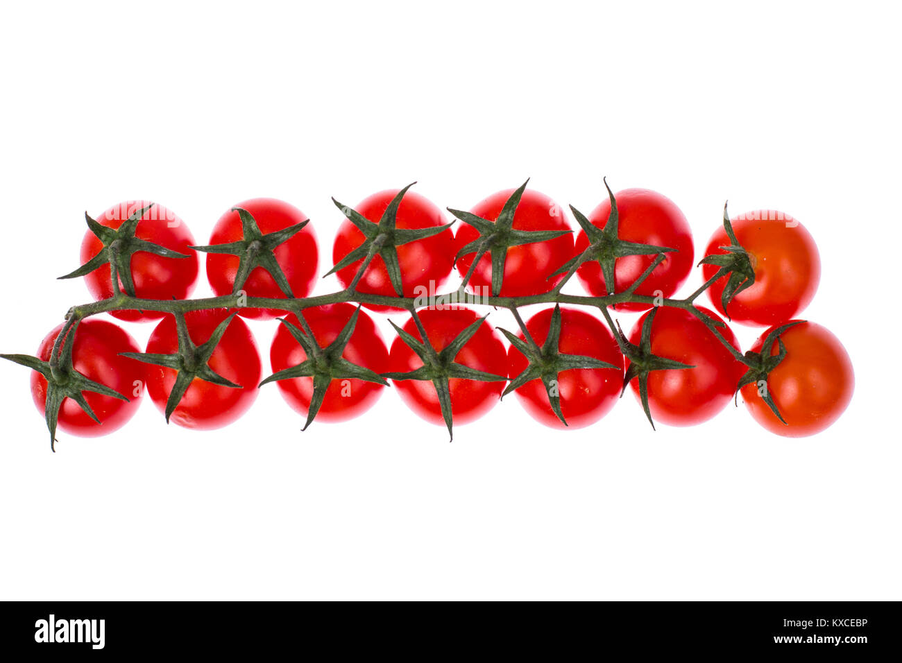 Branch of red cherry tomatoes isolated on white background Stock Photo ...