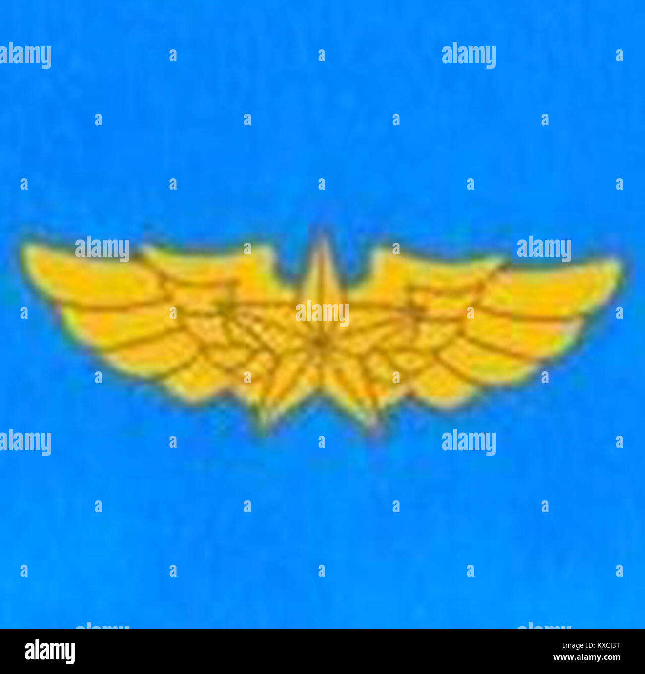 The Vietnam People's Air Force pilot represents the military aviation ...