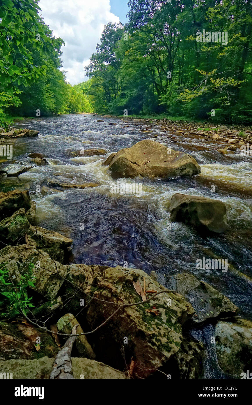 Scenic Cranberry River in the Cranberry Wilderness, West Virginia Stock Photo