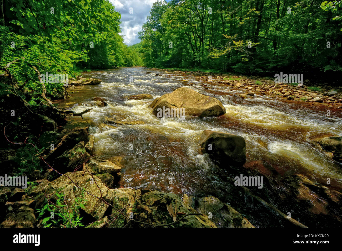 summer time shot of Cranberry River in the Cranberry Wilderness Area. Stock Photo