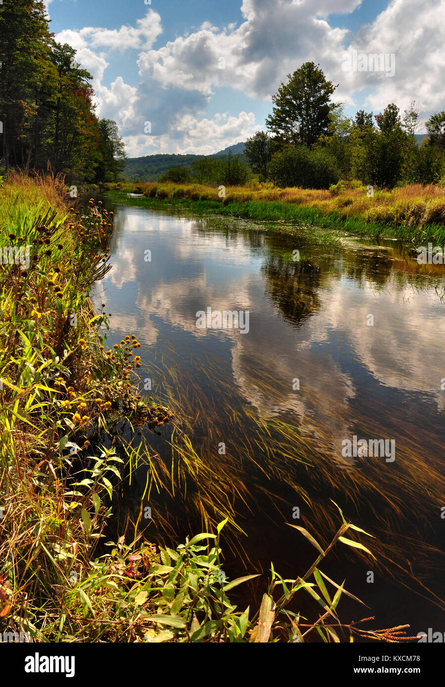 Scenic Blackwater River Trail in Canaan Valley West Virginia Stock Photo