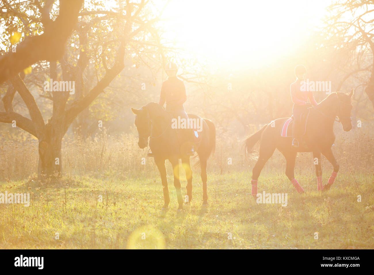 Group of rider girls walking with horses in park in sunset beams. Equestrian recreation activities background with copy space Stock Photo