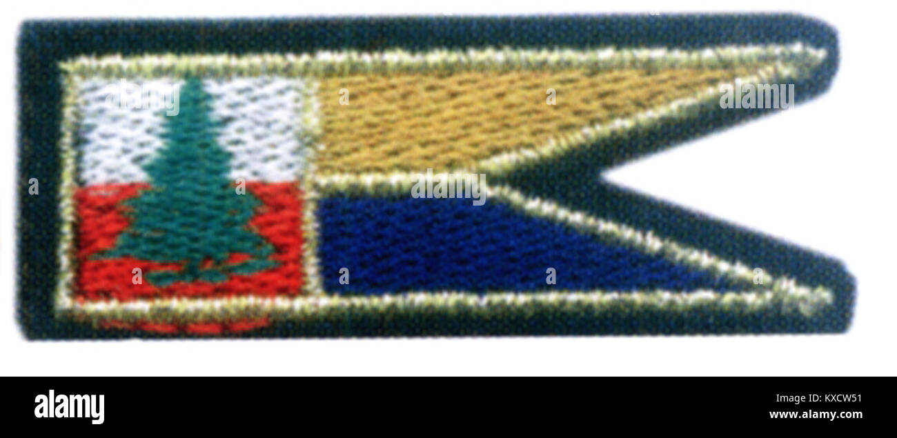 22 Karpacka Brygada Piechoty Górskiej - proporczyk na beret Stock Photo