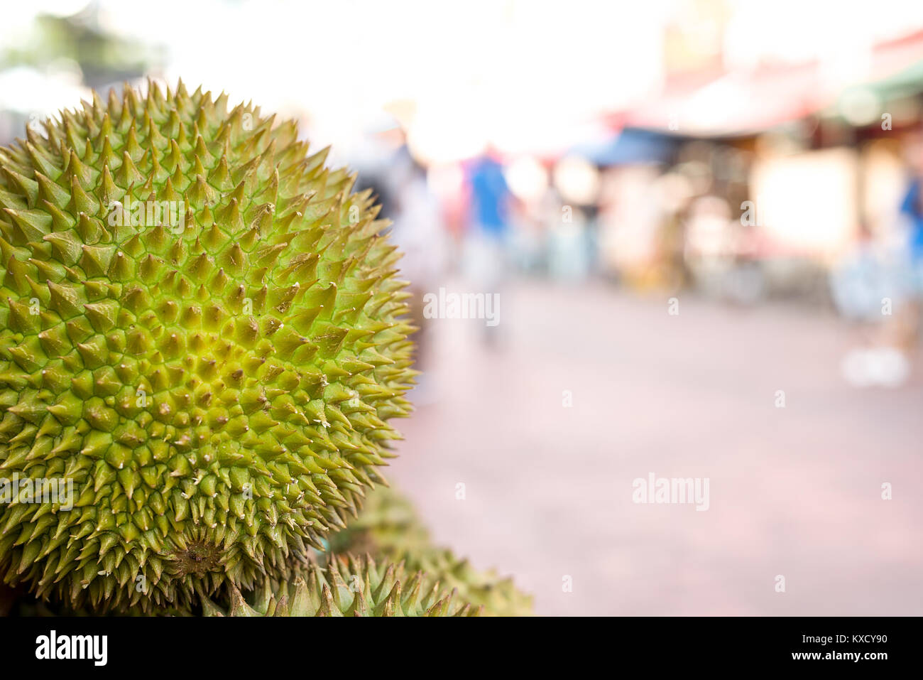 Close up of a spiky Durian fruit on a market stall with blown out back ground with copy space. Stock Photo