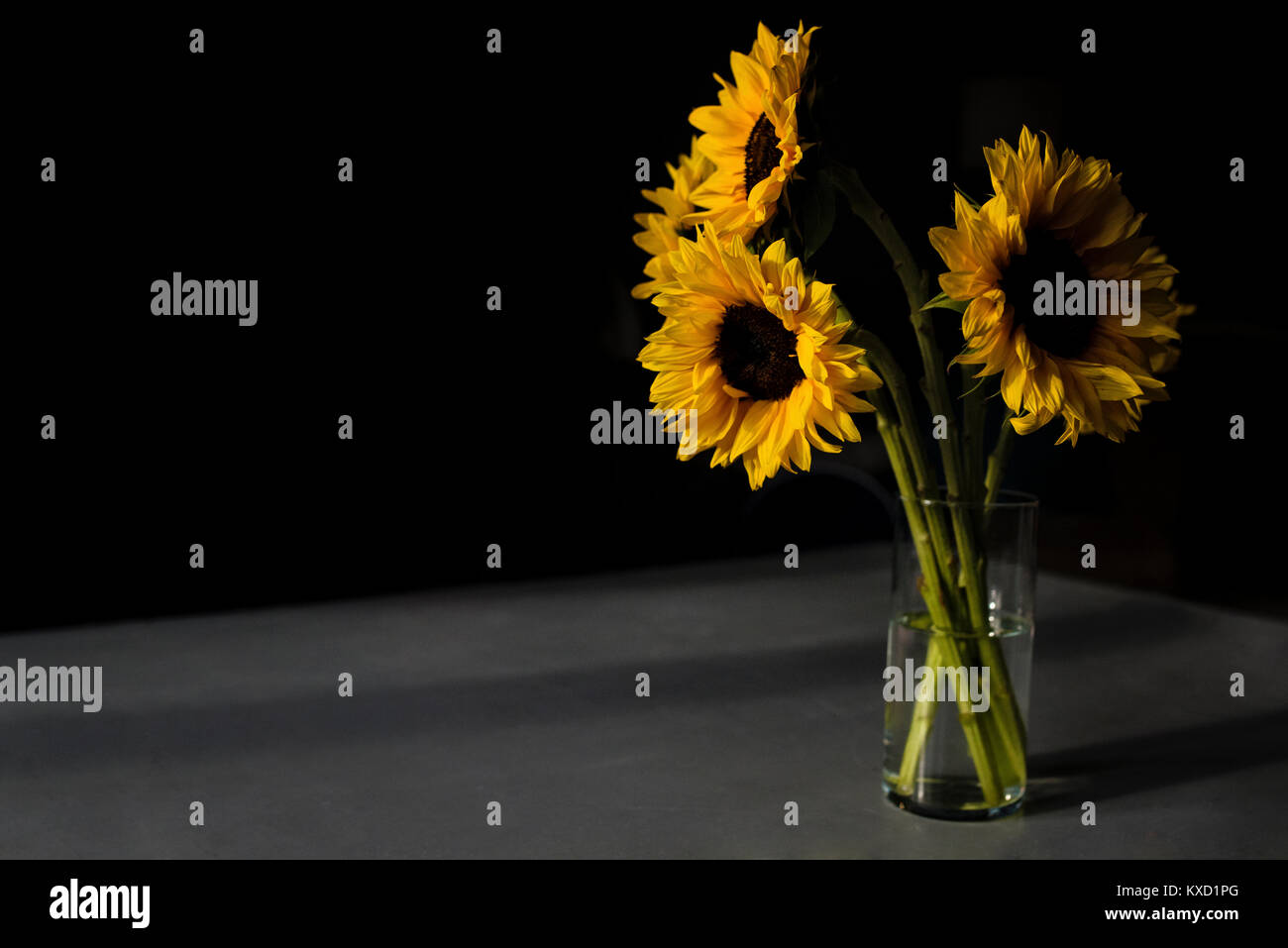 Close Up Of Sunflowers Vase On Table In Darkroom Stock Photo