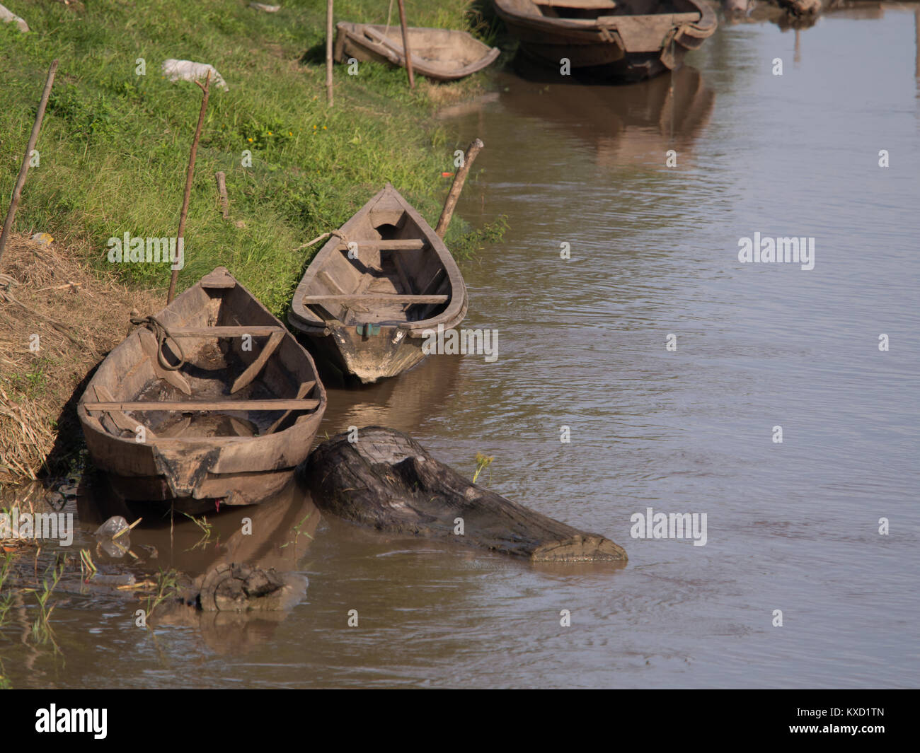 Traditional, Indian boats on the bank of the river Stock Photo Alamy