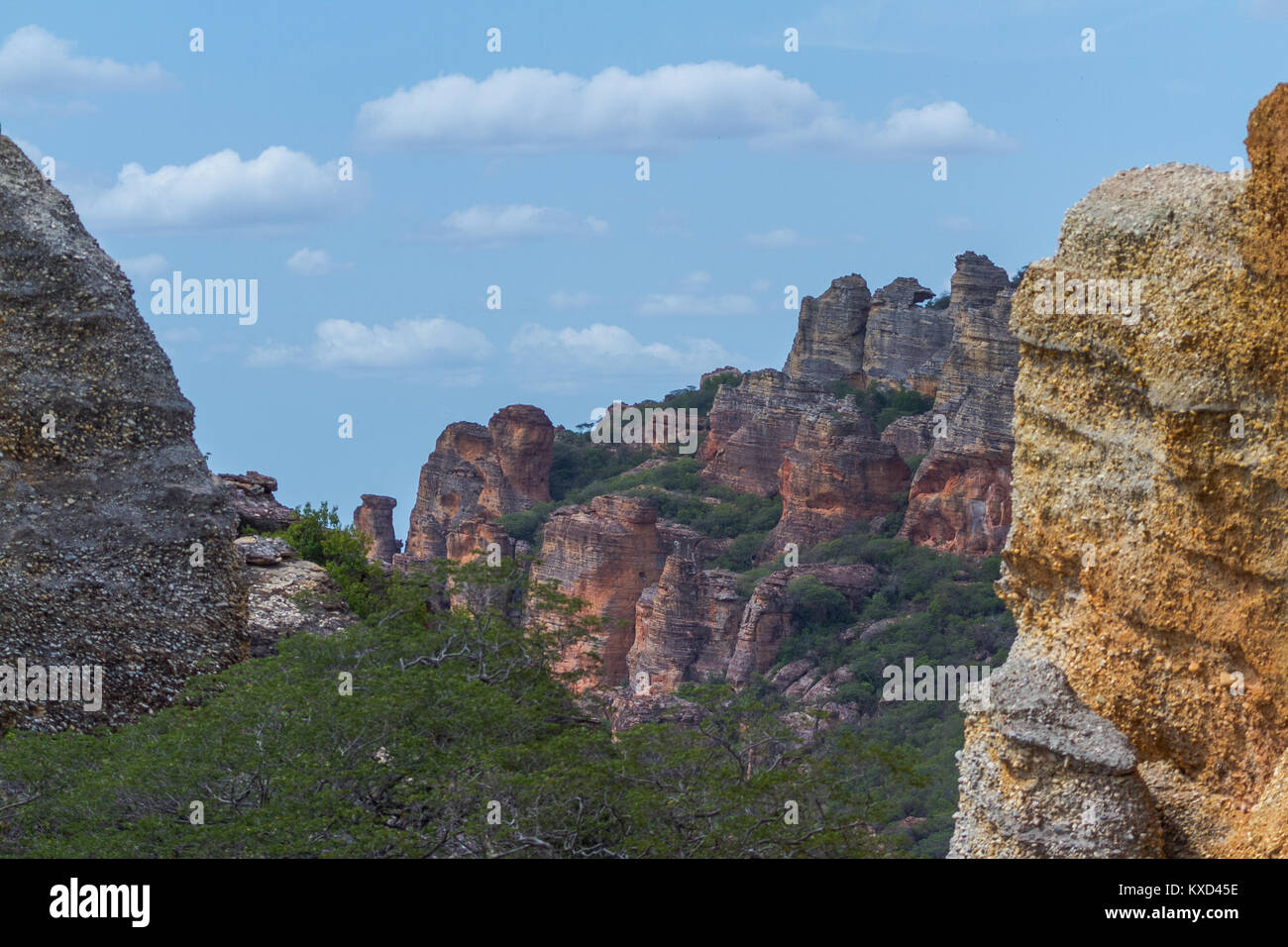 Leafy Catinga in Serra da Capivara Stock Photo