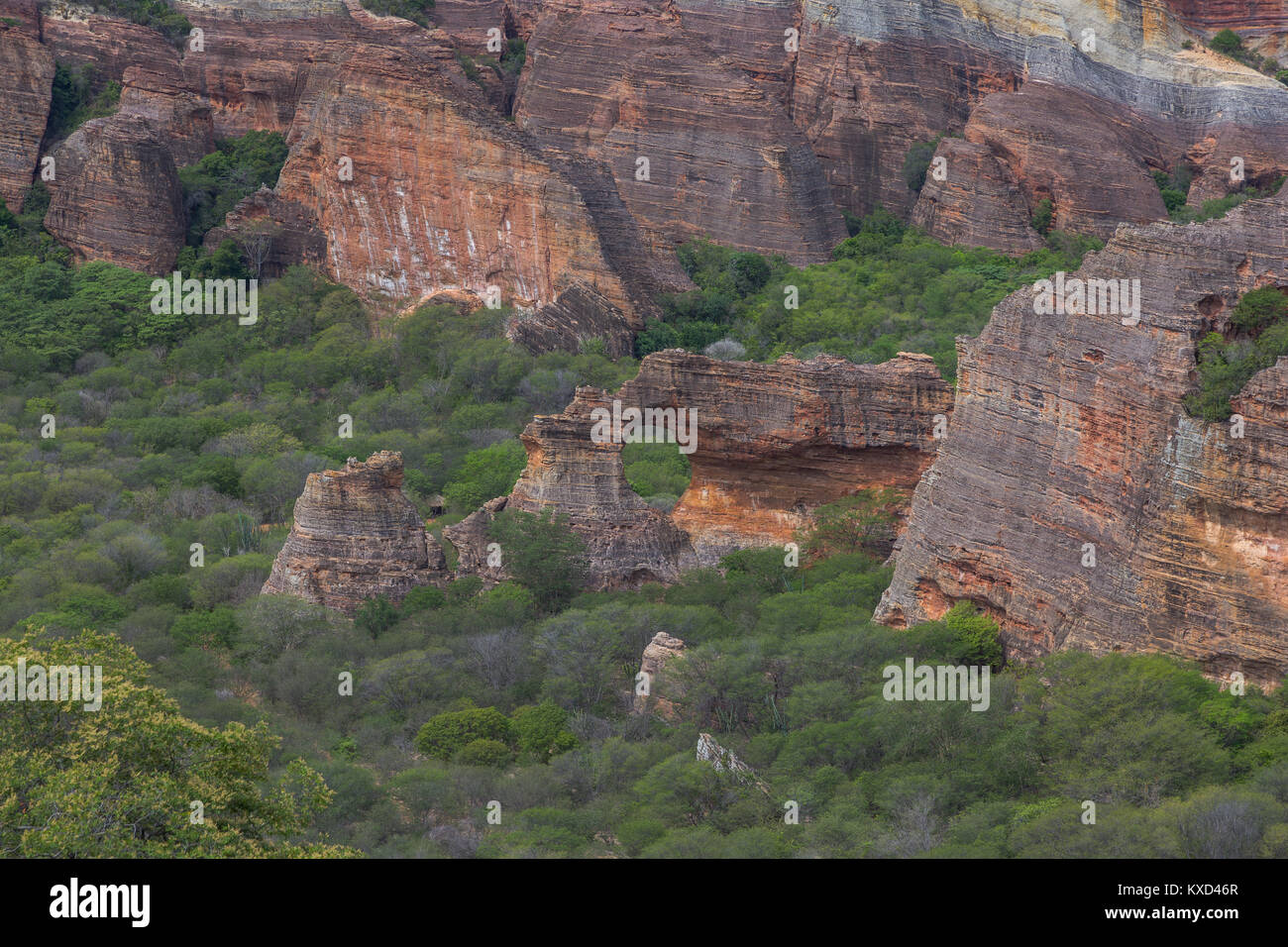 Leafy Catinga in Serra da Capivara Stock Photo