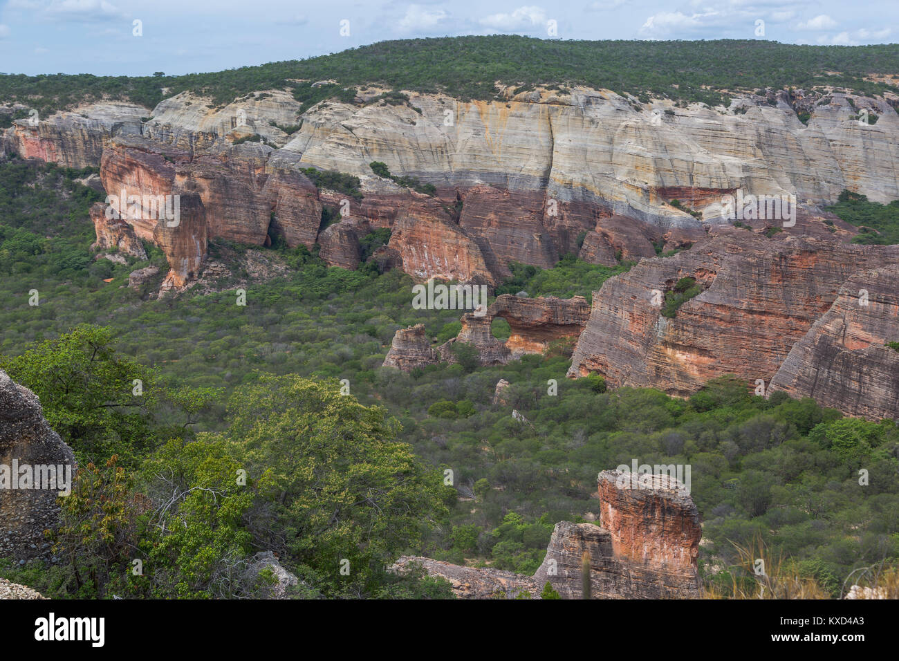 Leafy Catinga in Serra da Capivara Stock Photo