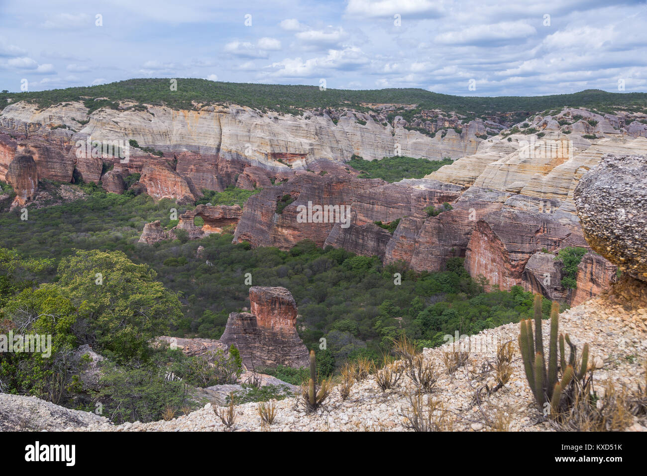 Leafy Catinga in Serra da Capivara Stock Photo