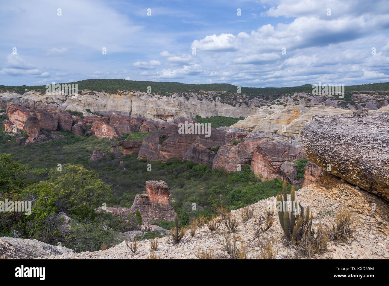 Leafy Catinga in Serra da Capivara Stock Photo