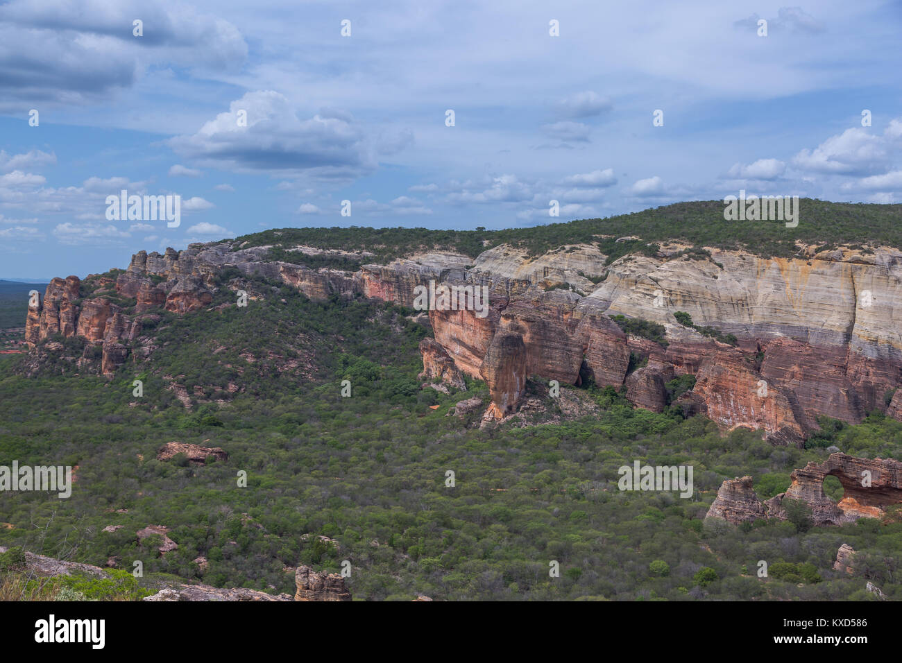 Leafy Catinga in Serra da Capivara Stock Photo