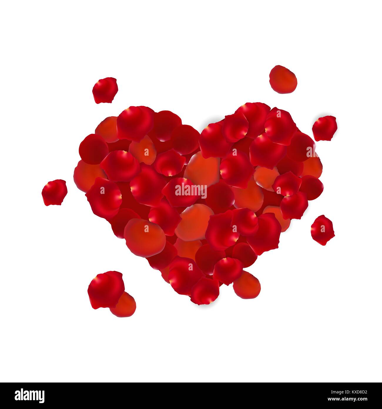 My Image 13