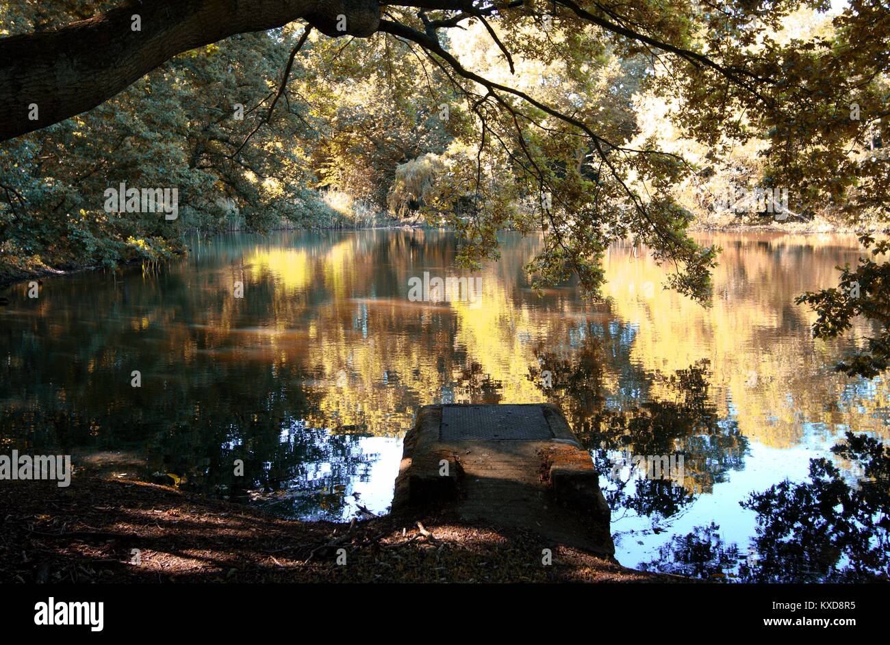 Trees reflected on water hi-res stock photography and images - Alamy