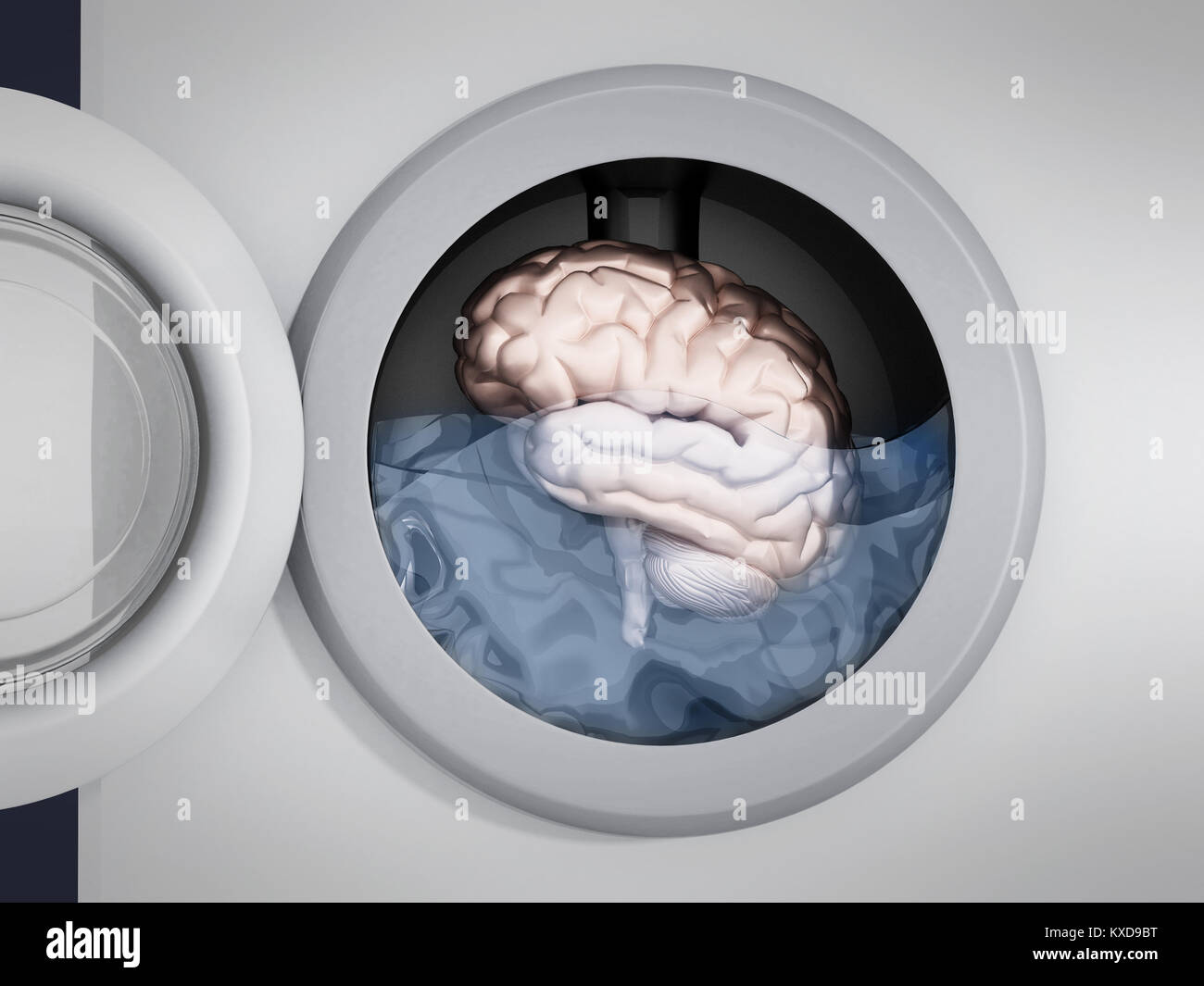 Brain being washed in washing machine. 3D illustration. Stock Photo