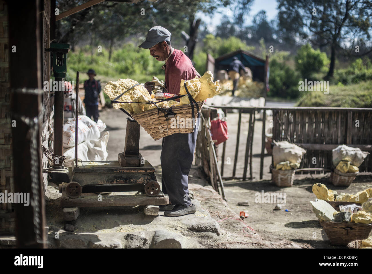 Miner weighting his baskets full of sulfur rocks from Kawah Ijen Volcano, Java, Indonesia Stock Photo