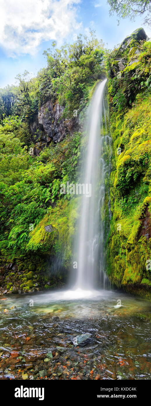 18m high Dawson Falls waterfall in the middle of a tropical rainforest,Dawson Falls,Mount Taranaki or Mount Egmont Stock Photo