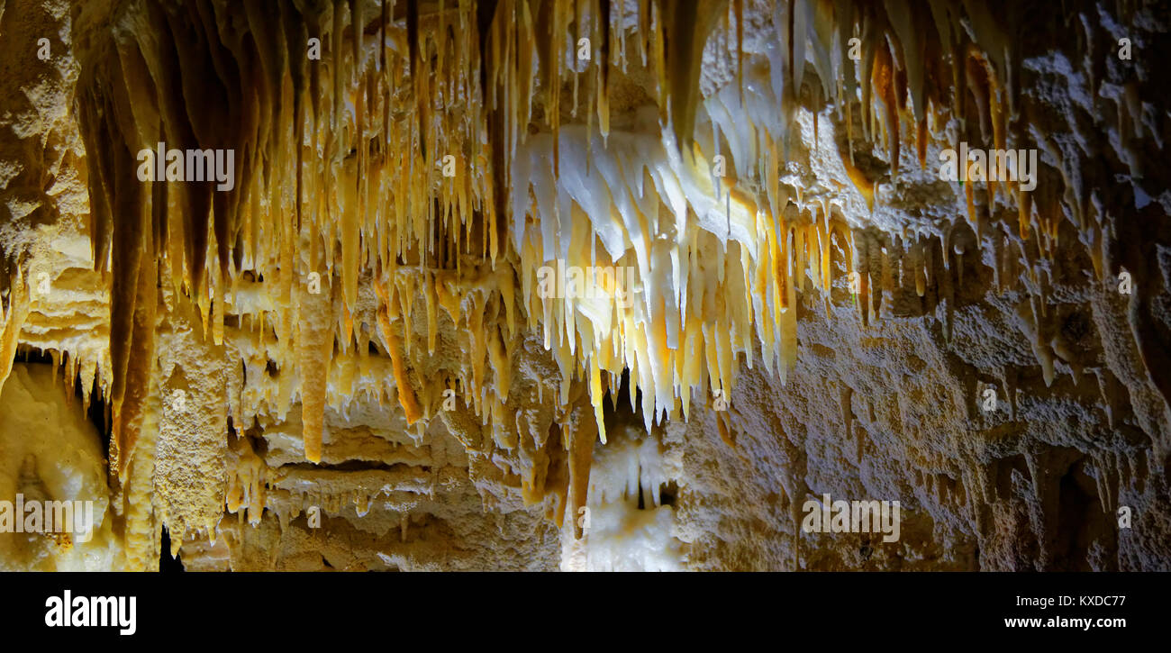 Small stalactites in the dripstone cave Aranui Cave,Waitomo Caves,Waikato,North Island,New Zealand Stock Photo