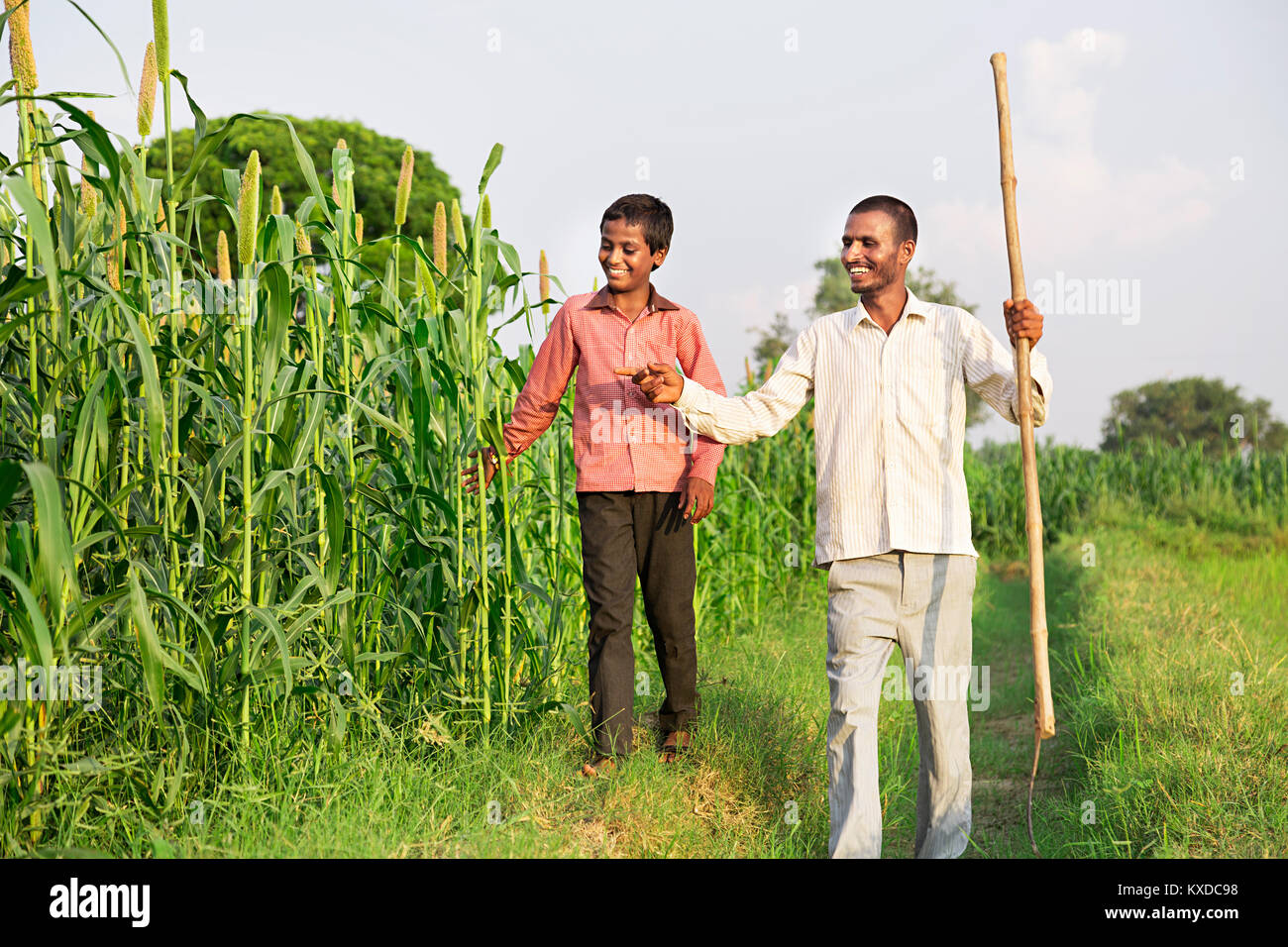 2 Indian Rural Farmer And Son Field Showing Plant Checking Stock Photo