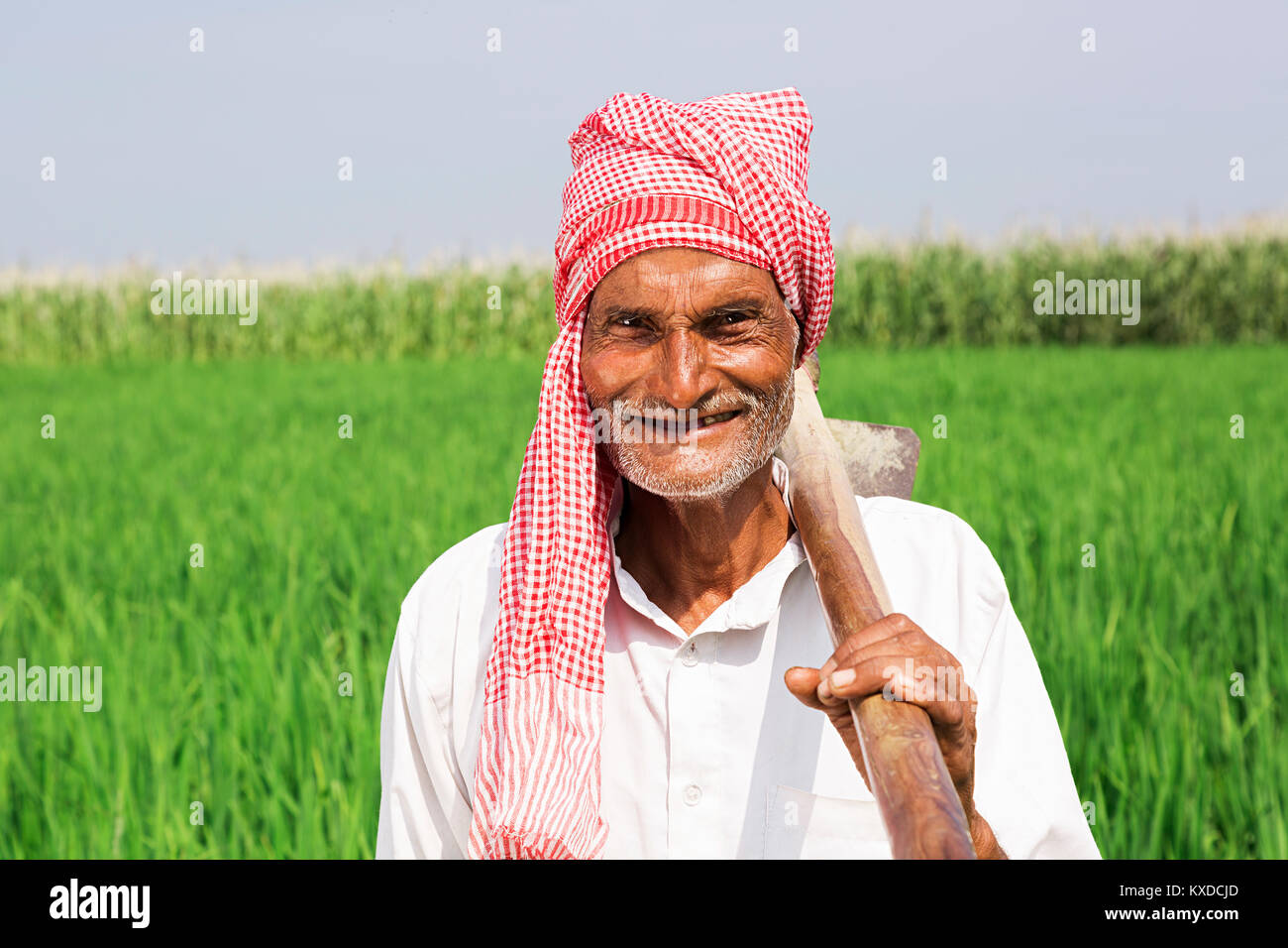 Indian Rural Farmer Senior Man Standing Holding Shovel Working Field ...