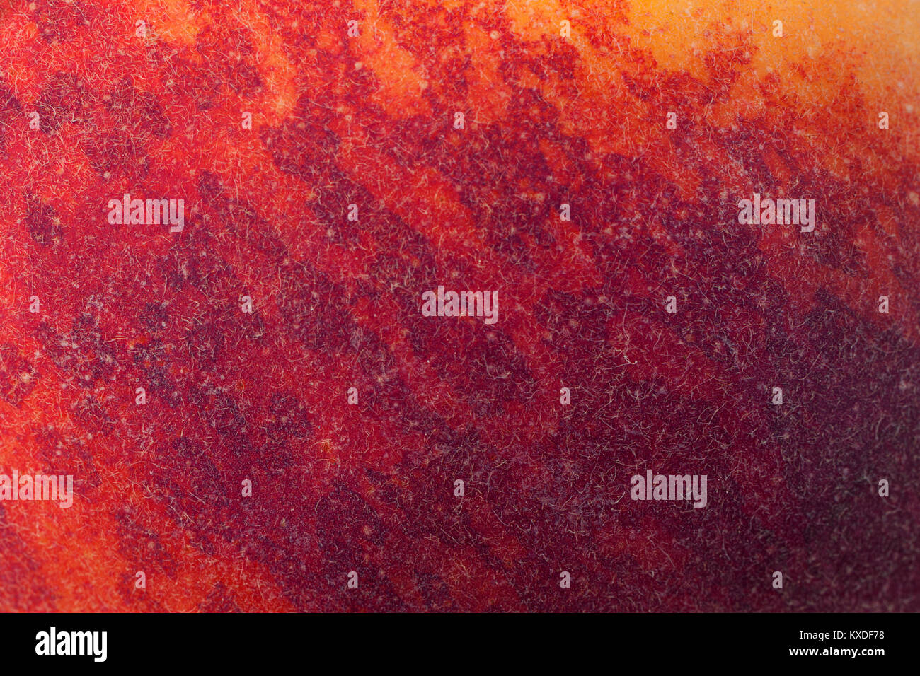 Peach Fruit Macro Detail Skin Background Stock Photo Alamy Peach Fruit Macro Detail Skin Background Stock Photo Alamy
