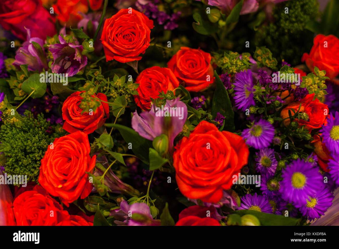 Garden red roses other hi res stock photography and images Alamy