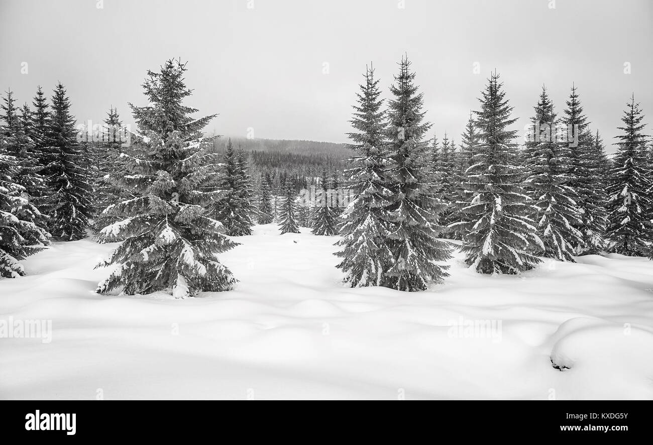 Black and white picture of a mountain winter landscape Stock Photo - Alamy