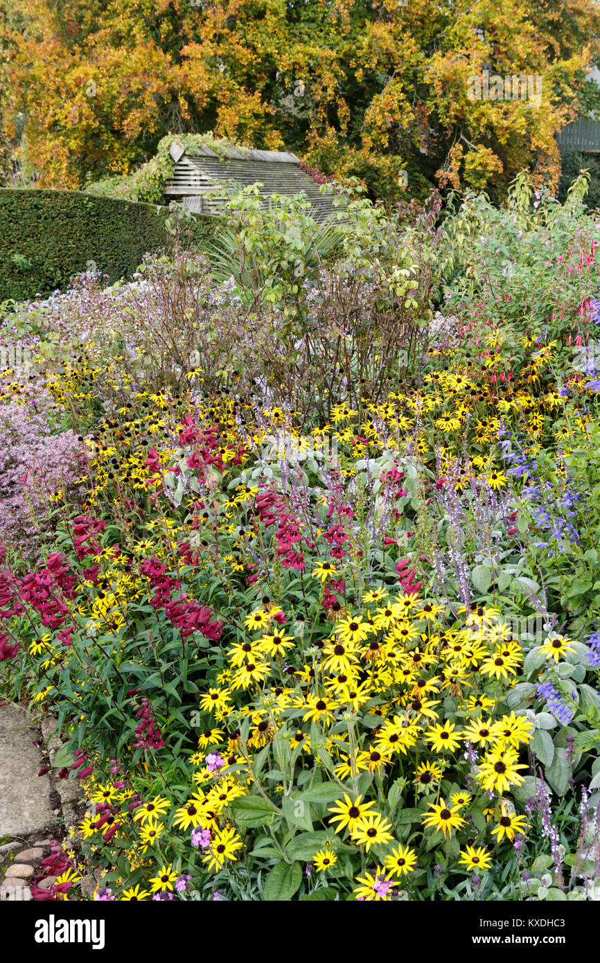 Deep herbaceous borders hi-res stock photography and images - Alamy