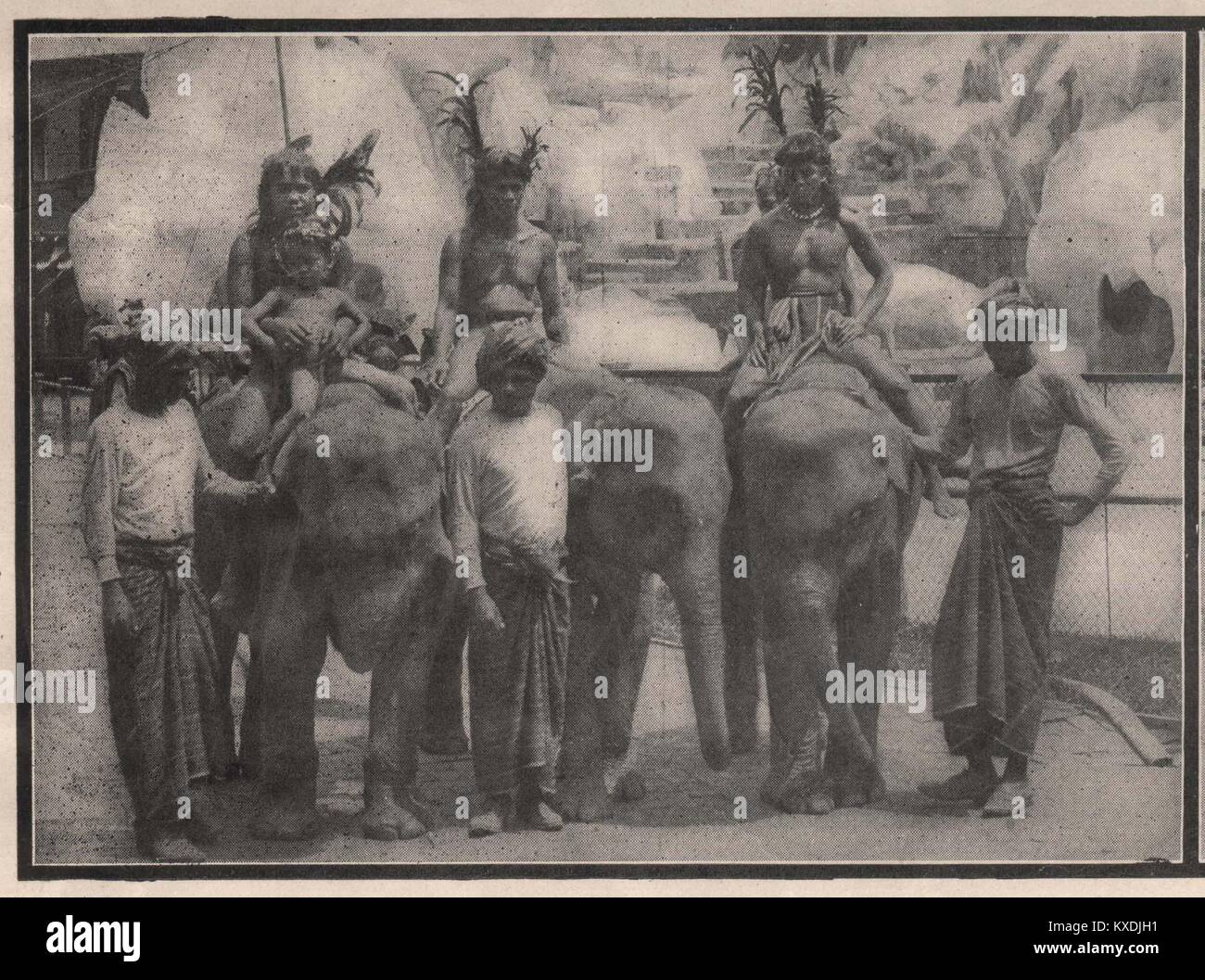 Igorrotes from Philippines riding baby Elephants Stock Photo Alamy