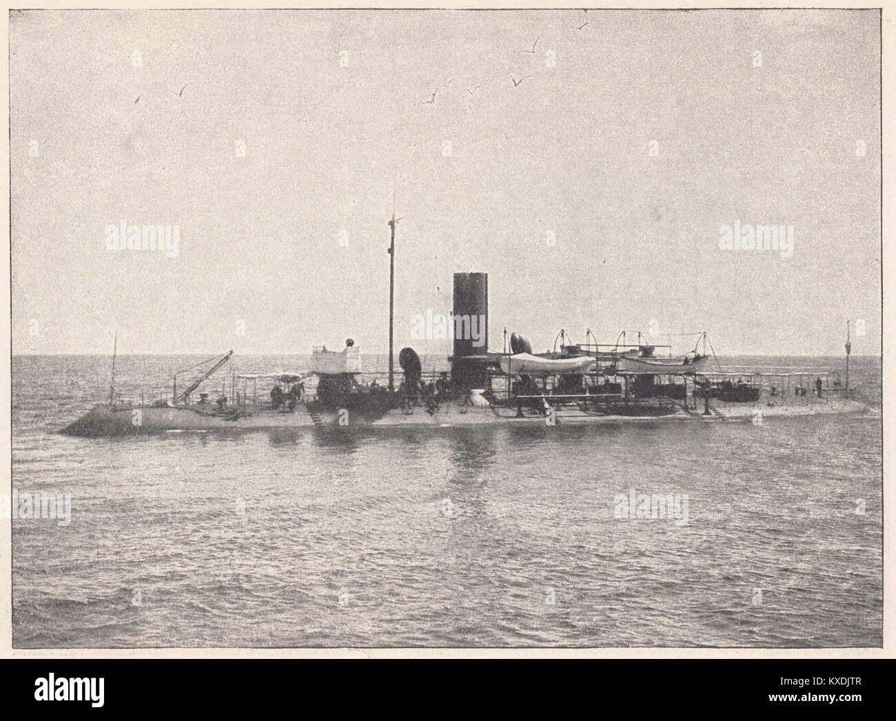 United states ram katahdin hires stock photography and images Alamy