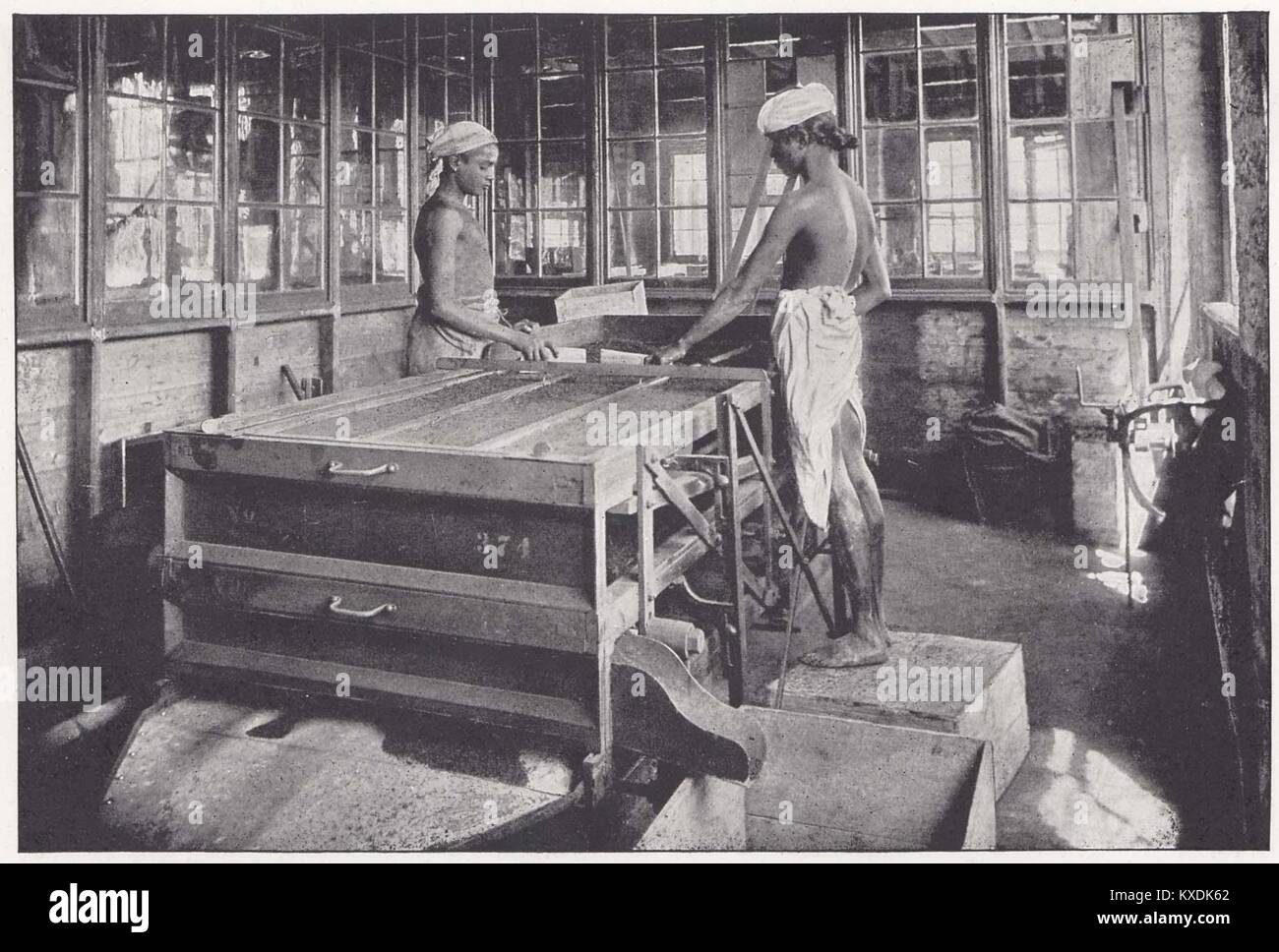Sifting the Manufactured Tea Stock Photo Alamy
