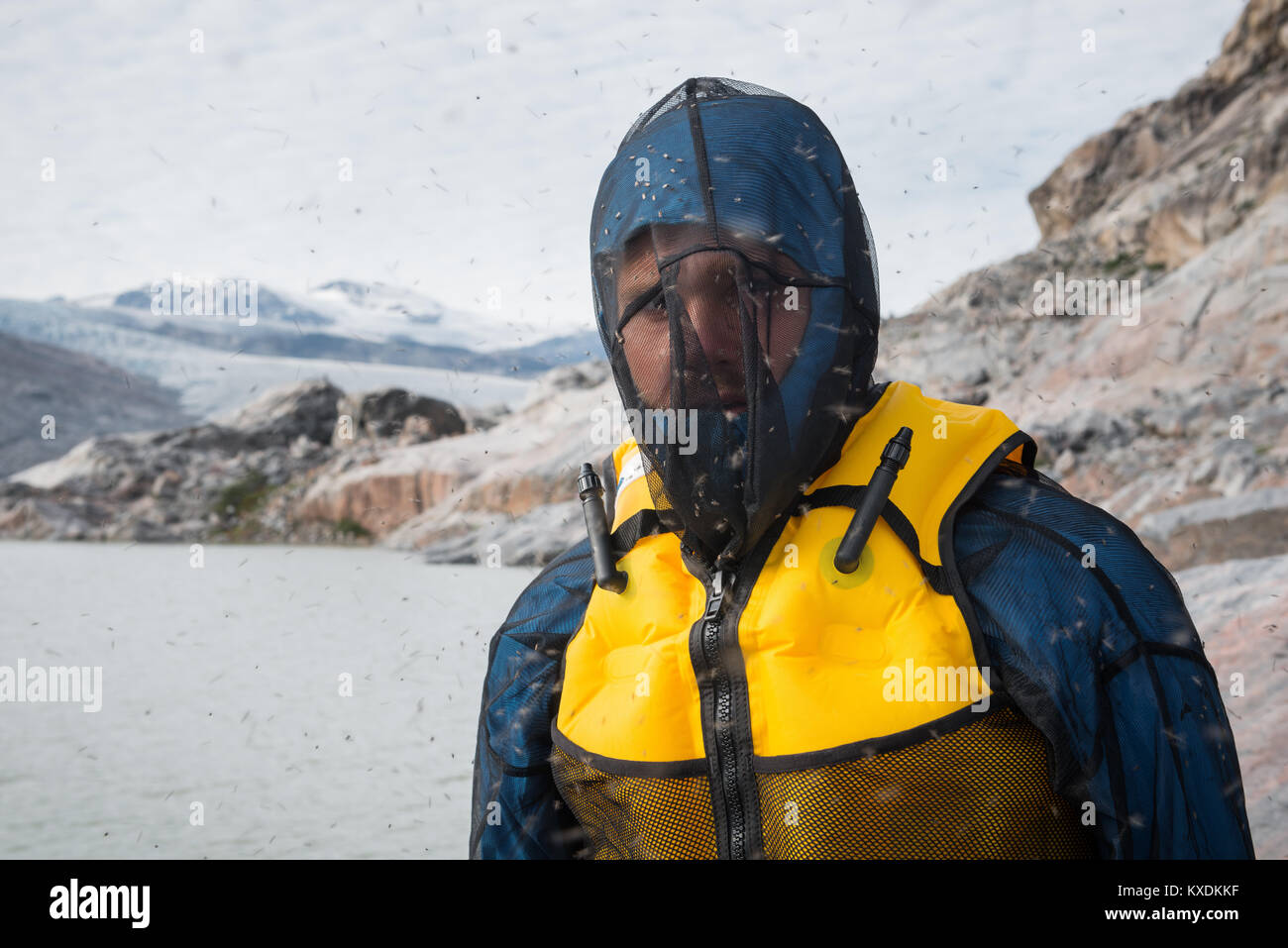 Man With Mosquito Net At Fjord Many Mosquitoes West Greenland 