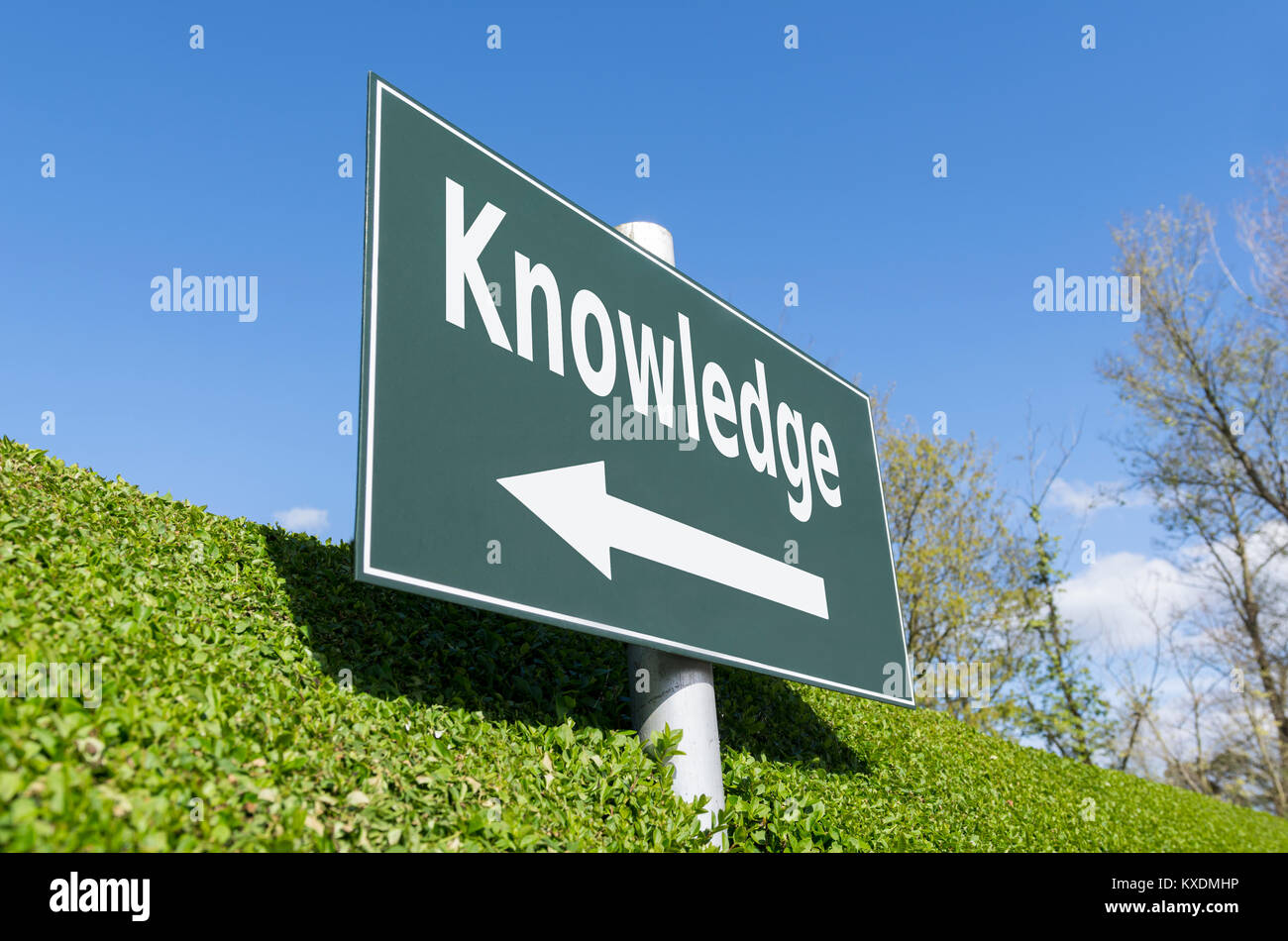 Knowledge concept. Sign pointing in the direction of knowledge. Stock Photo