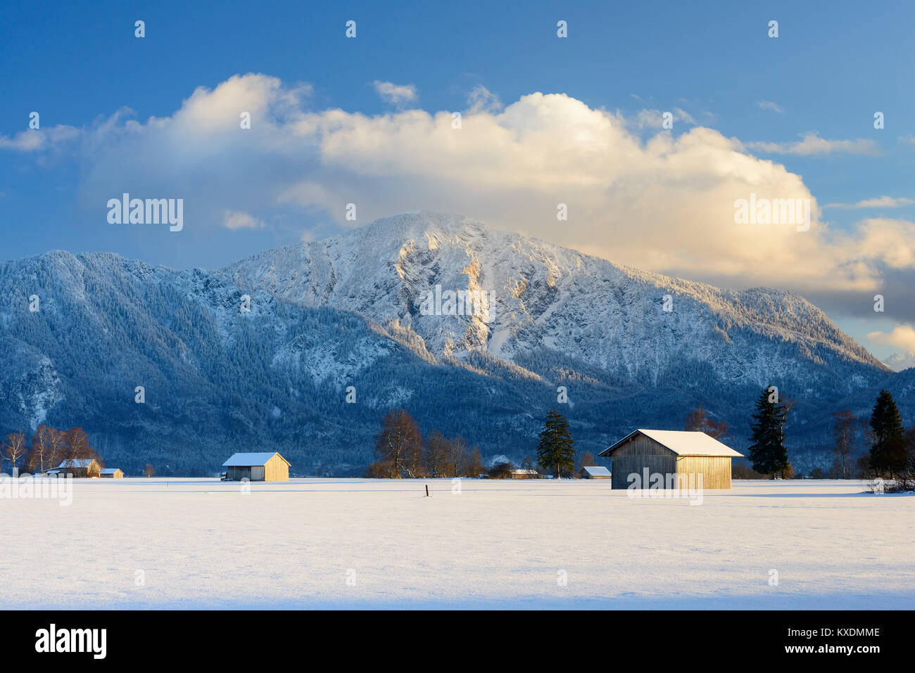 Jochberg, in winter, Kochel am See, in winter, Upper Bavaria, Bavaria, Germany Stock Photo