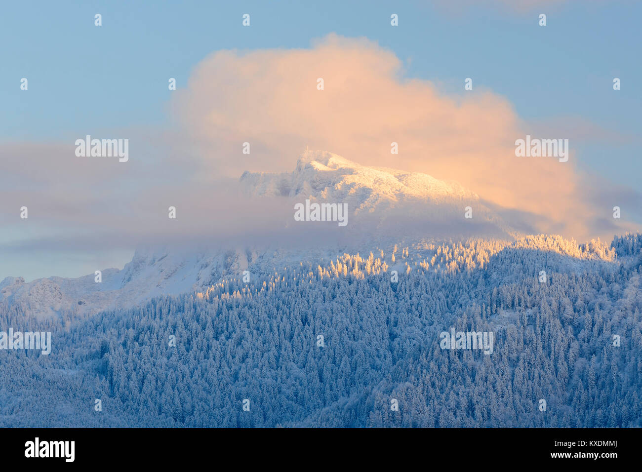 Bendiktenwand, in winter, near Großweil, Upper Bavaria, Bavaria, Germany Stock Photo