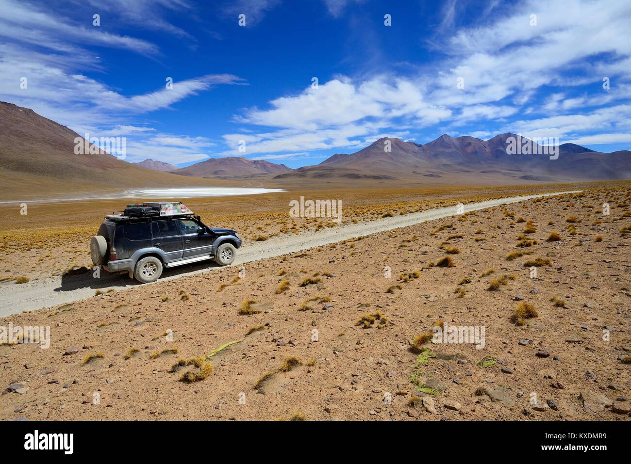 Off-road vehicle on the lagoon route, Nor Lípez province, Potosi department, Bolivia Stock Photo