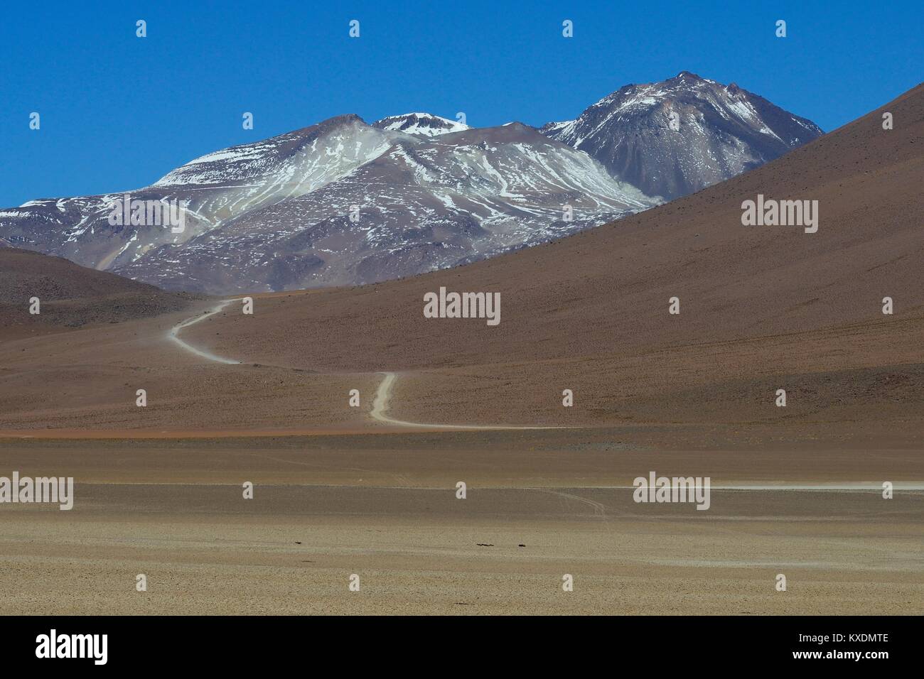Piste on the Altiplano, Reserva Nacional de Fauna Andina Eduardo Abaroa, Sur Lípez, Potosí, Bolivia Stock Photo