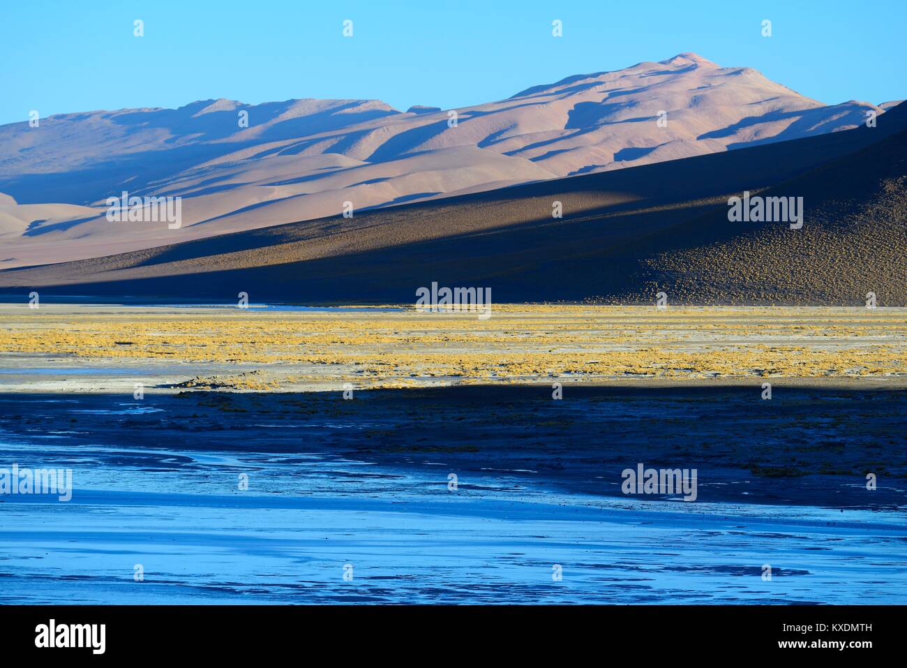 Lagoon on the Altiplano, Reserva Nacional de Fauna Andina Eduardo Abaroa, Sur Lípez, Potosí, Bolivia Stock Photo