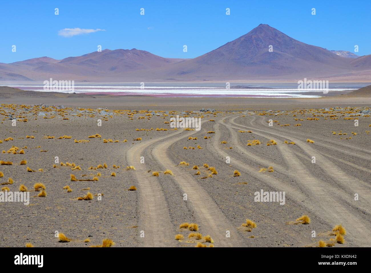 Vehicle tracks to Laguna Colorada, Reserva Nacional de Fauna Andina Eduardo Abaroa, Altiplano, Sur Lípez, Bolivia Stock Photo