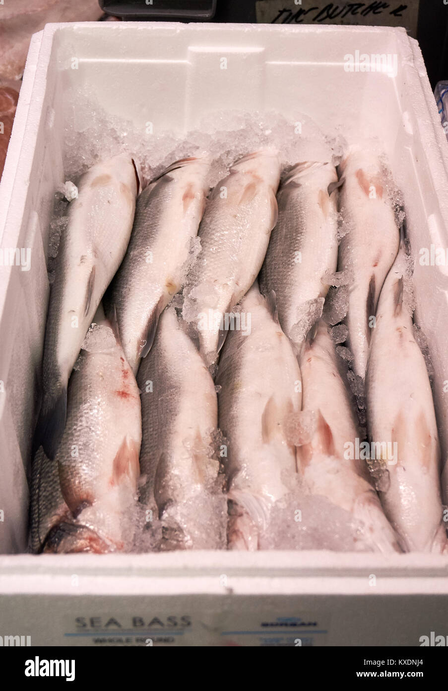 Farmed Turkish sea bass packed in a styrofoam box for sale at a local fishmonger, Glasgow, Scotland. Stock Photo