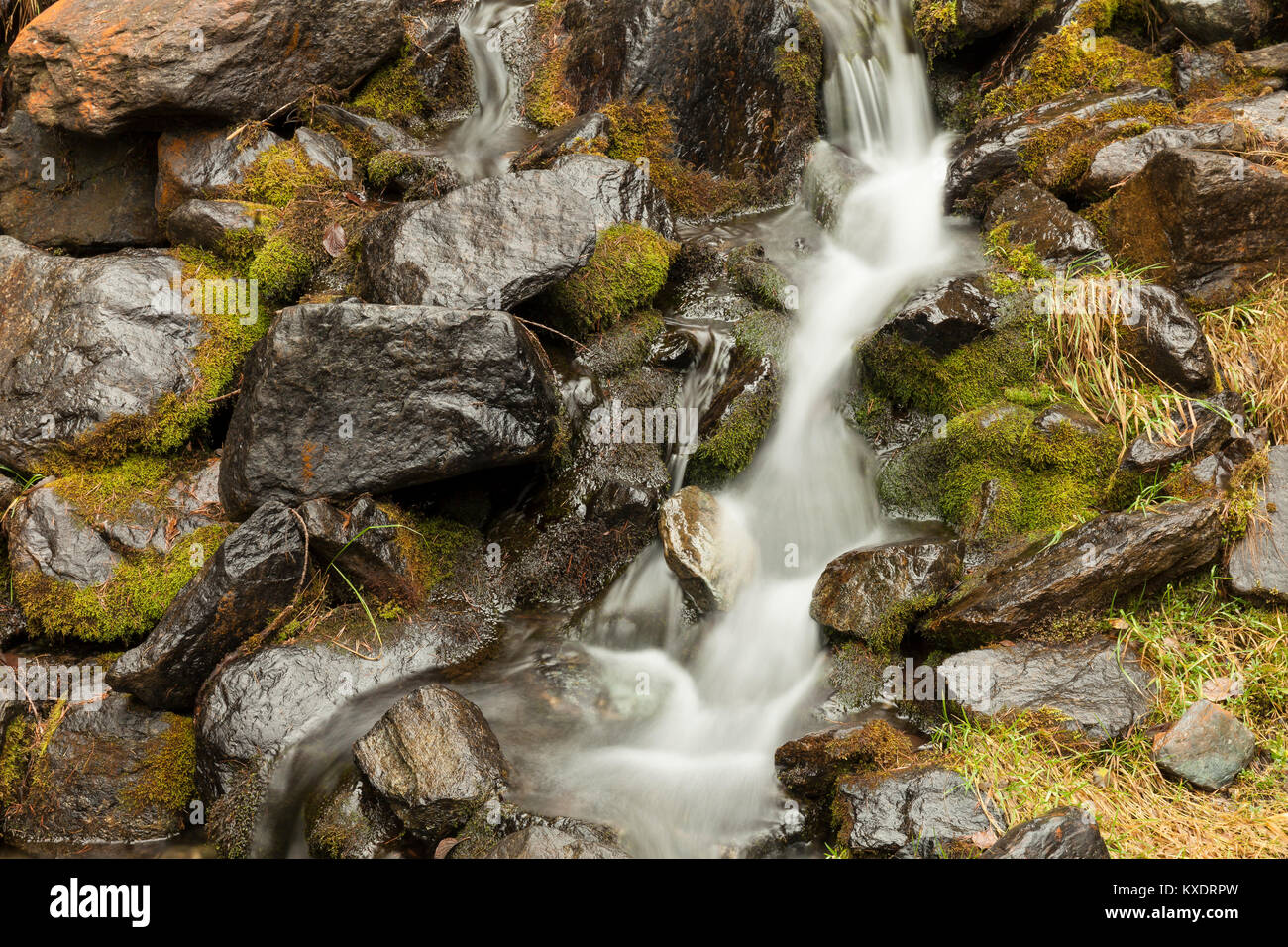Small waterfall between rocks and moss, Aosta Valley, Italy Stock Photo
